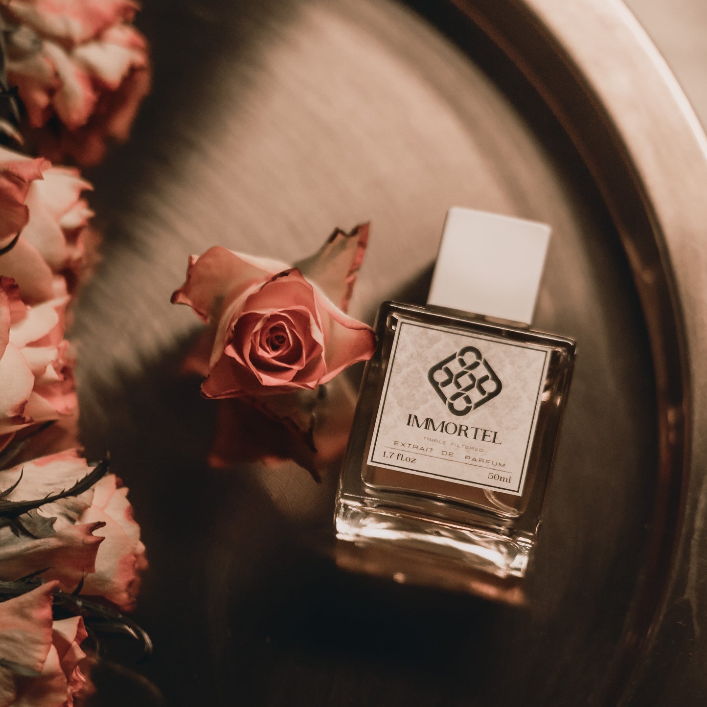 F17 - La vie est beauté