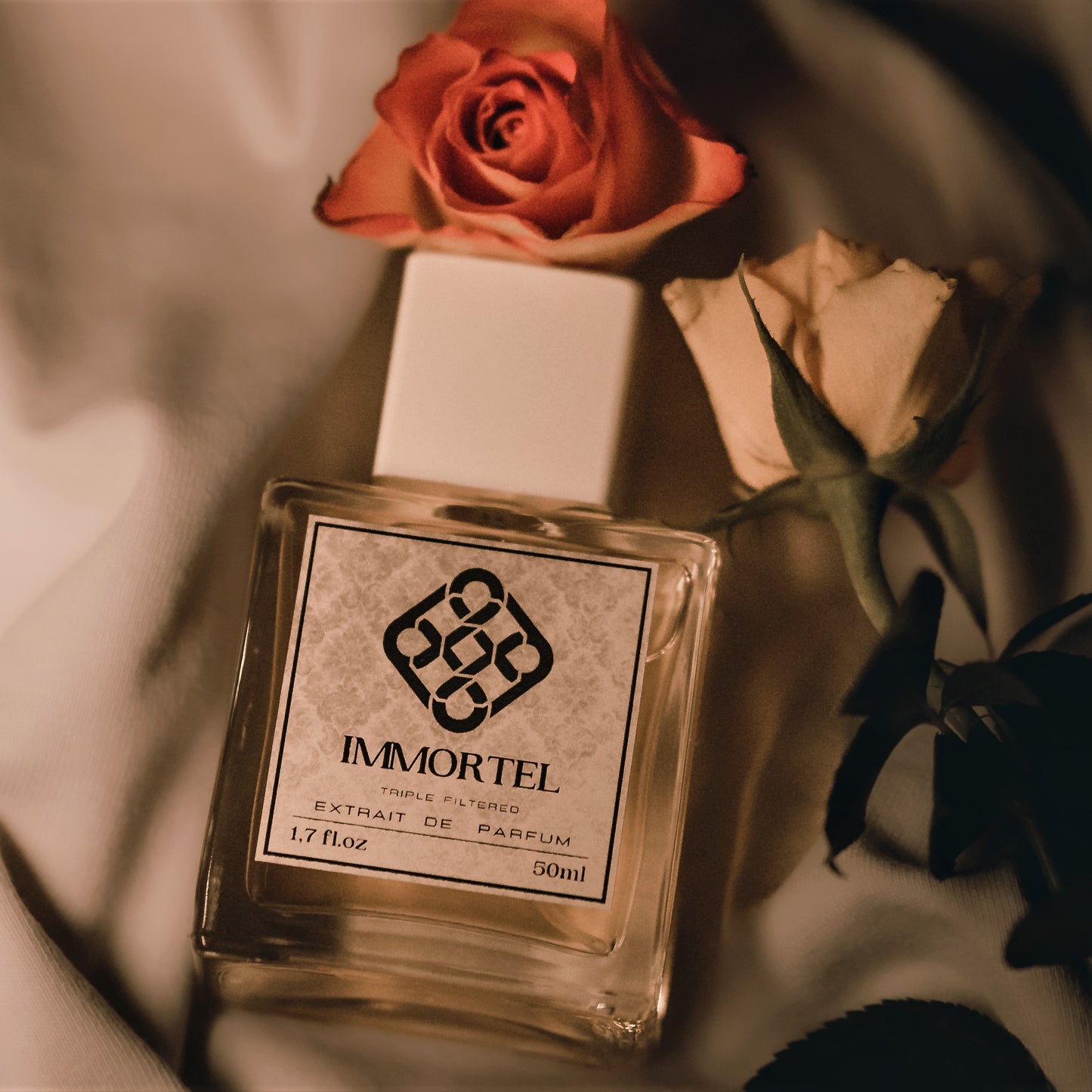 MF74 Cerise oubliée