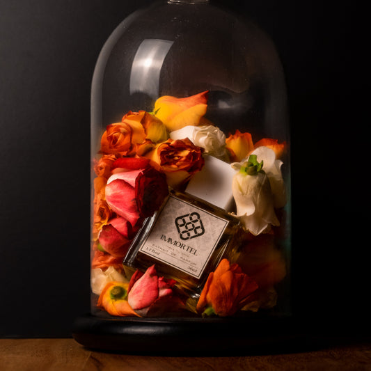 F07 - Terri fille de l'espace